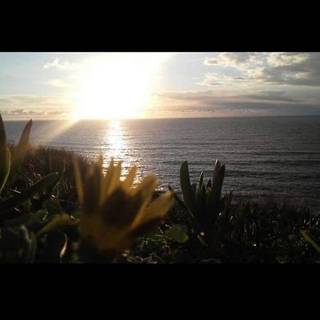 セシンブラ A Casa Da Foz Moradia Com Vista Marヴィラ エクステリア 写真