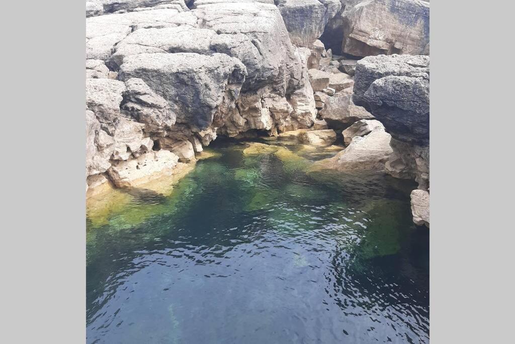 セシンブラ A Casa Da Foz Moradia Com Vista Marヴィラ エクステリア 写真